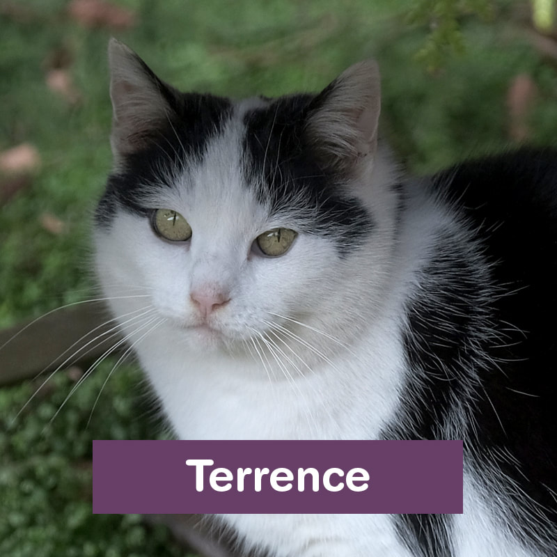 Oh hi, I'm Terrence.